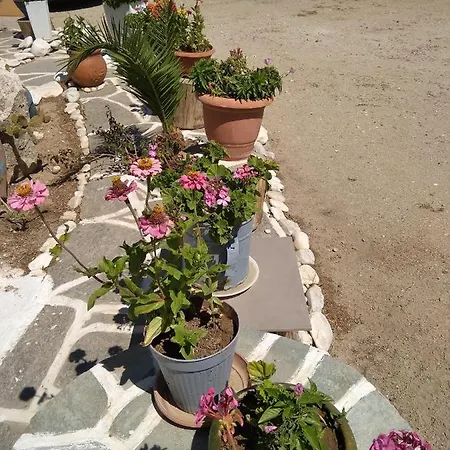 Kiki's Huge Balcony Dream *