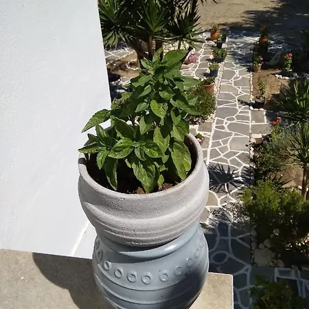 Kiki's Huge Balcony Dream