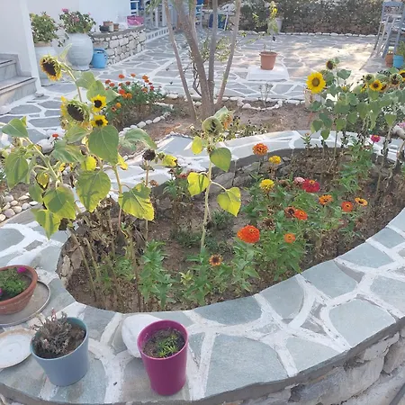 Kiki's Huge Balcony Dream Chrisi Akti (Paros)