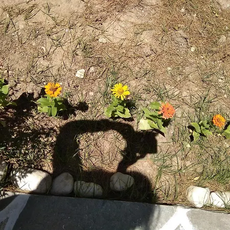 Kiki's Huge Balcony Dream *